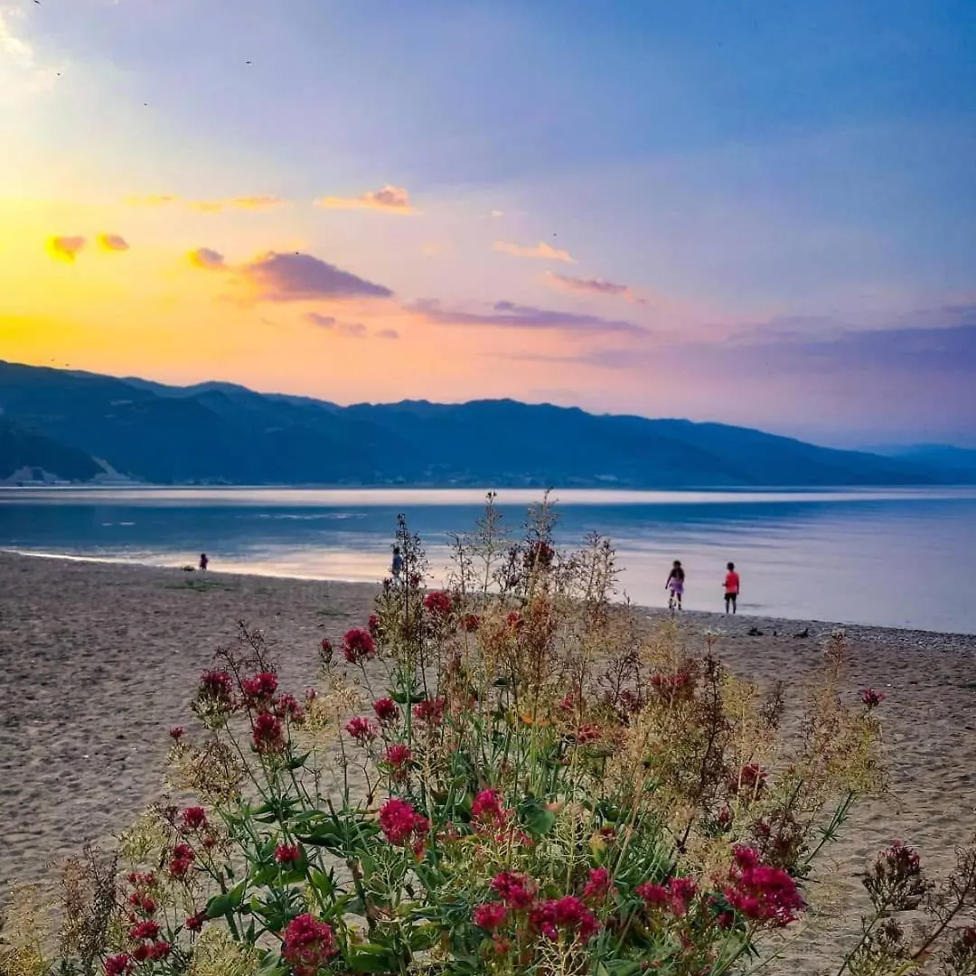 Pogradec Luxe Apartment